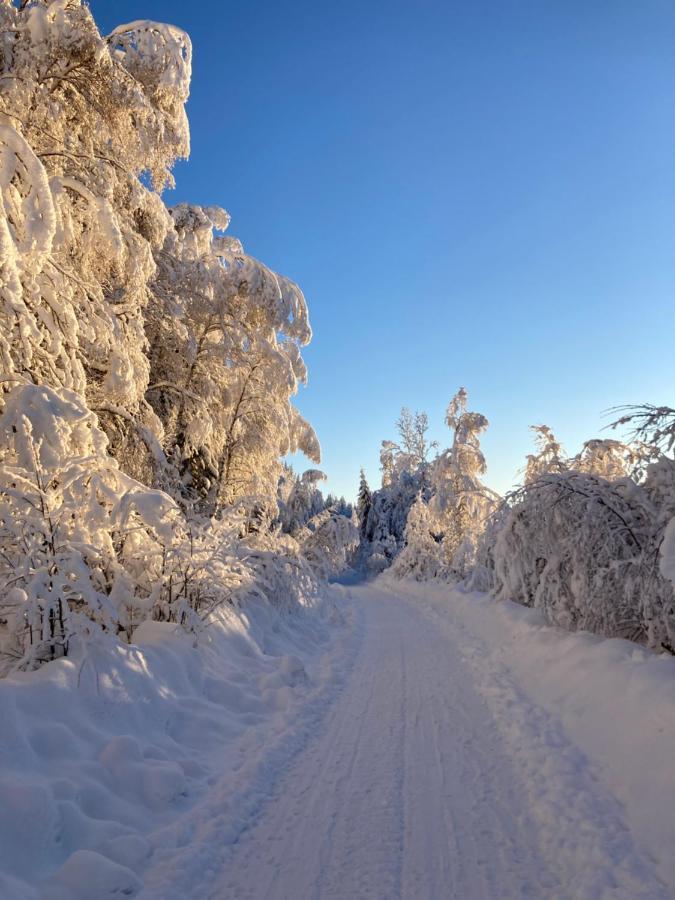 Baervallen 388 Lodge Salen (Dalarna)