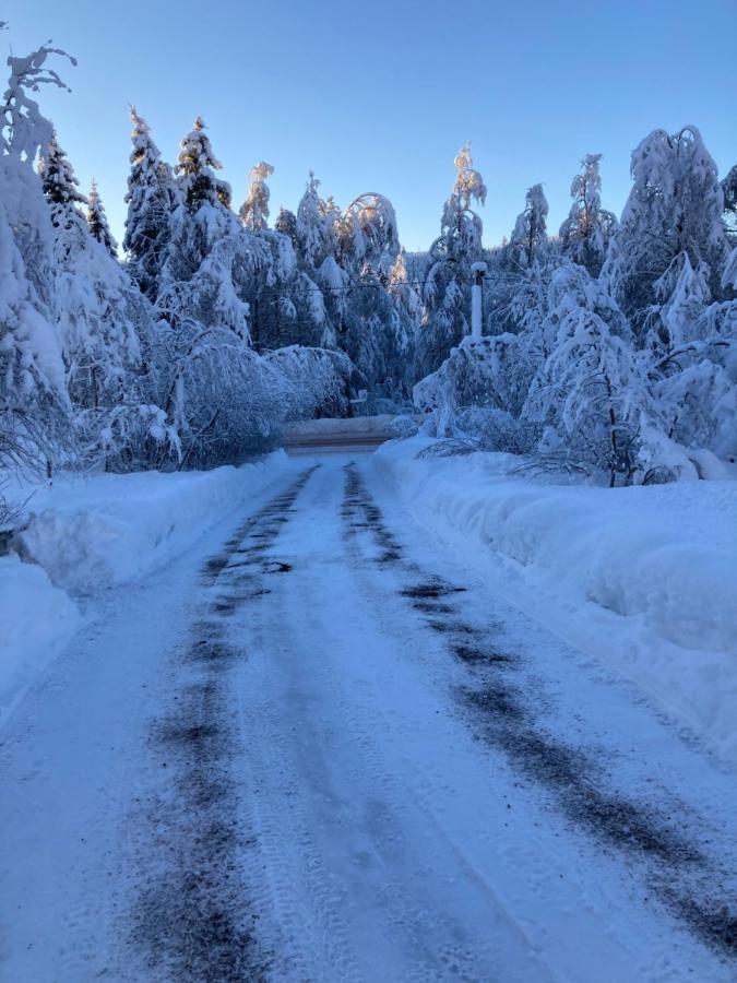 Baervallen 388 Lodge Salen (Dalarna)